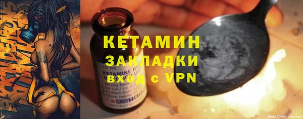 гидра Арсеньев