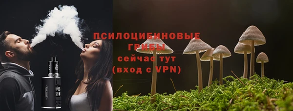 гидра Арсеньев