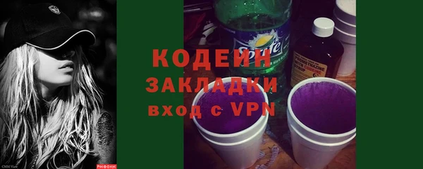 гидра Арсеньев