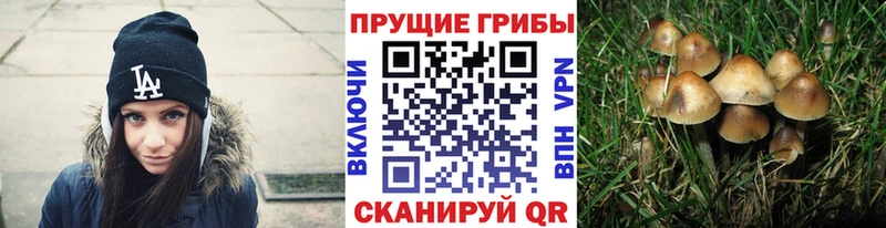 Псилоцибиновые грибы GOLDEN TEACHER  OMG маркетплейс  Оханск 